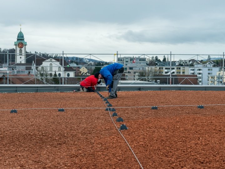 Stighag_20190209-_DSC2641_.jpg